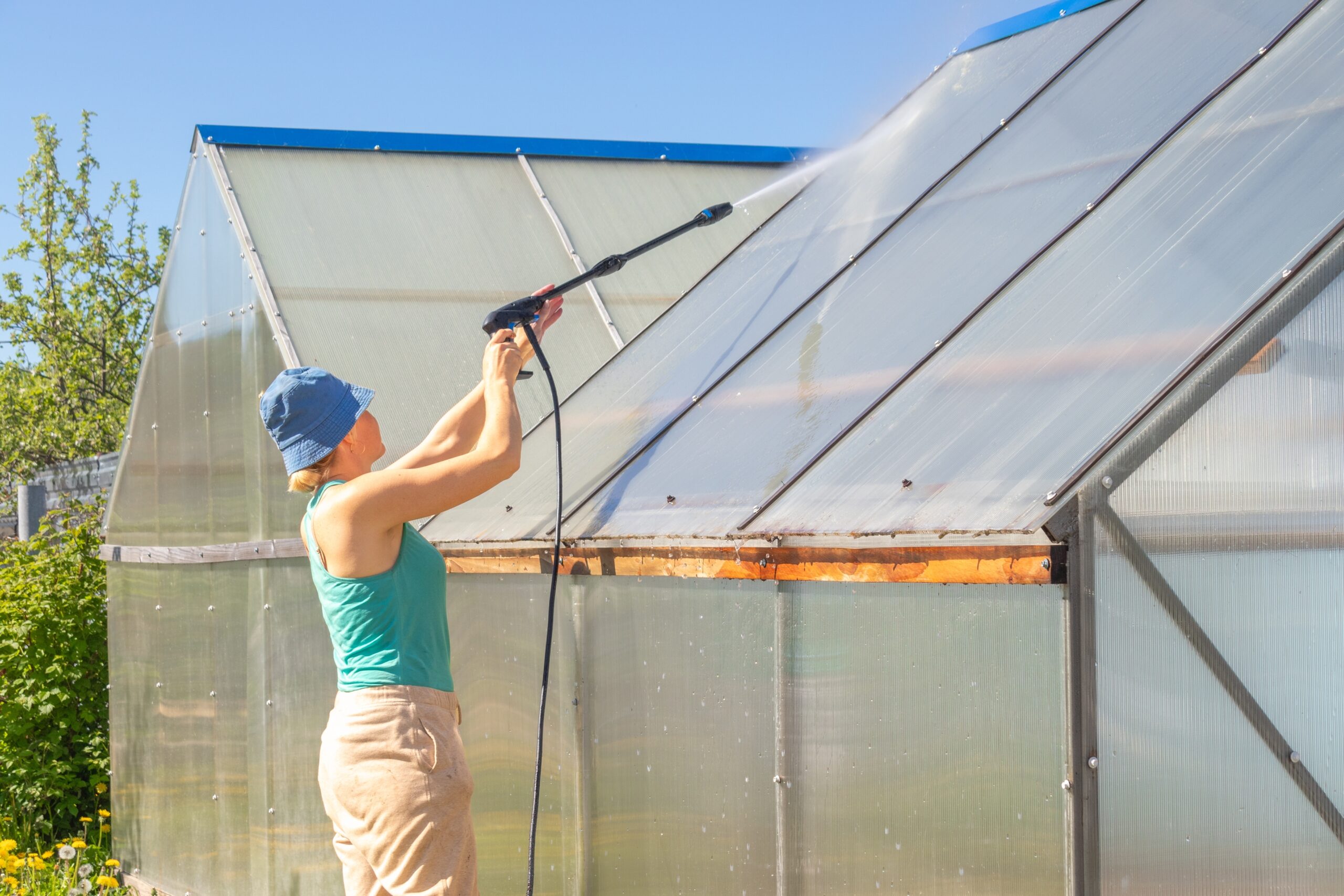 Clean: we come to your greenhouse and clean all the glass.